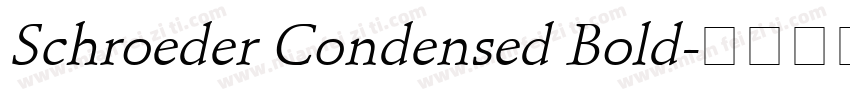Schroeder Condensed Bold字体转换